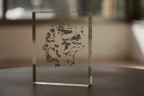 Abelprisen plakett med omriss av Niels Henrik Abels fjes.